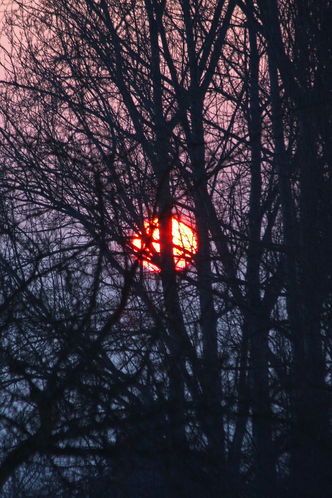 Sonnenuntergang 11.01.2009 09.jpg